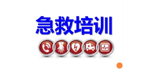 教育部辦公廳關于開展全國學校急救教育試點工作的通知